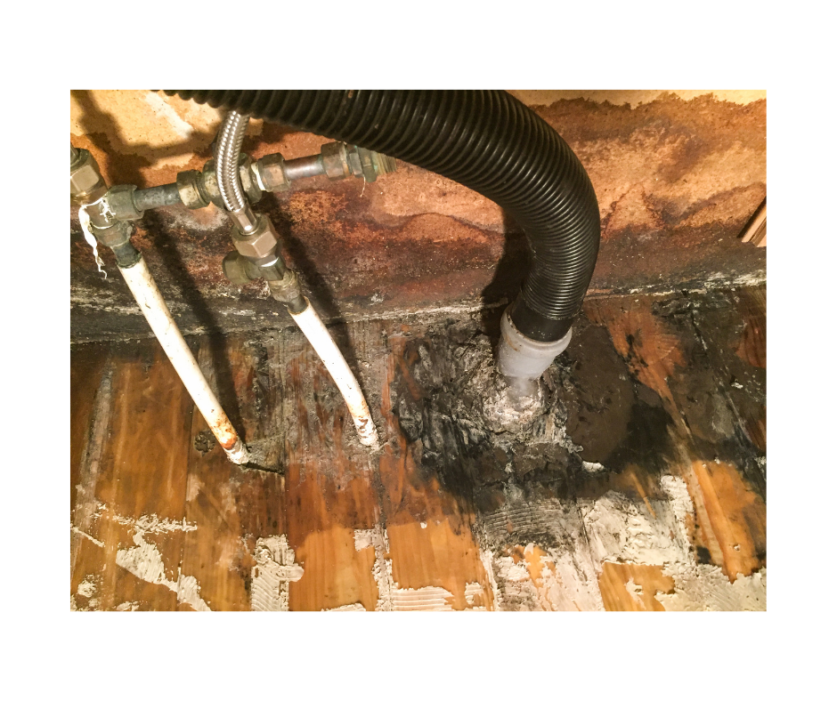 Water damage technician at work